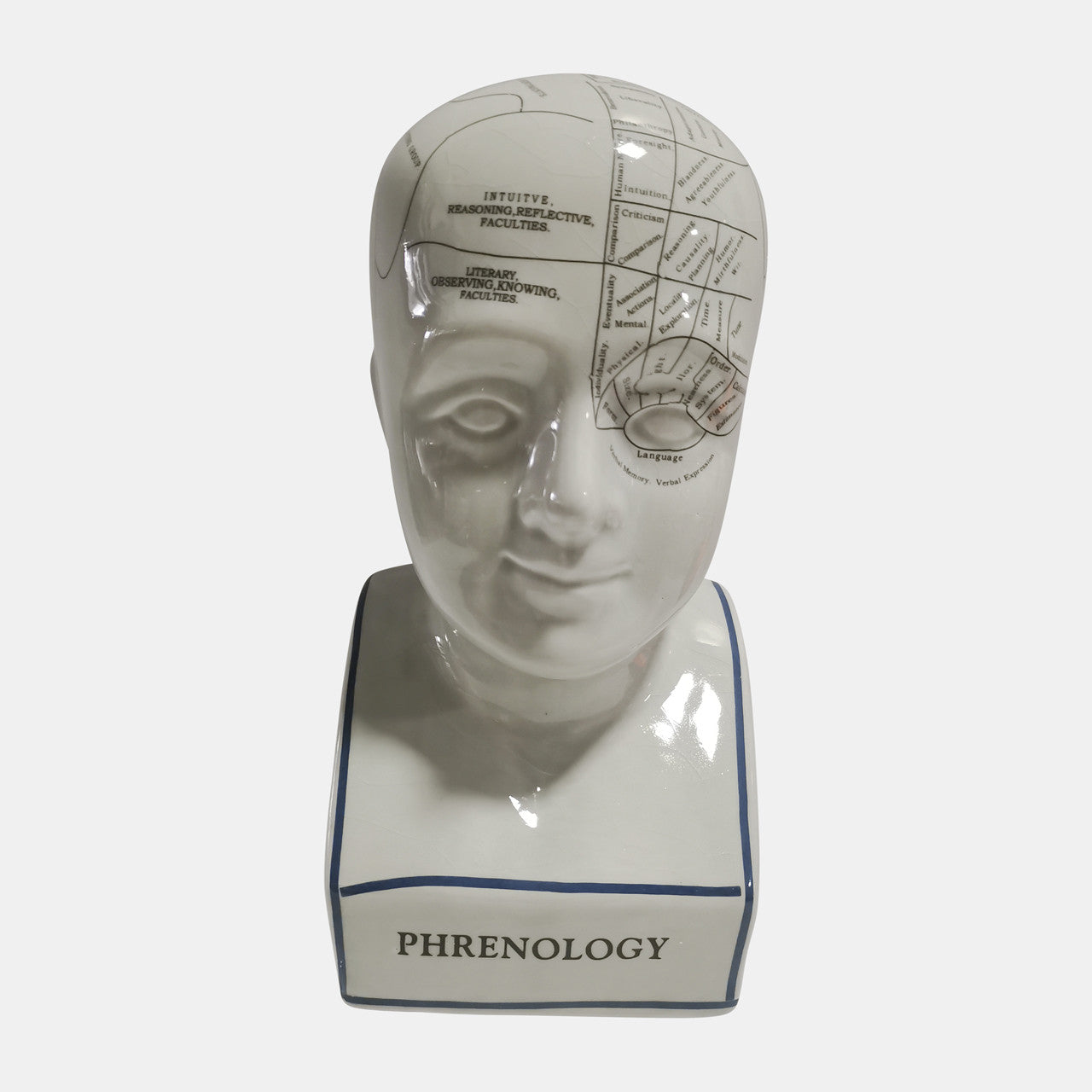 12" Phrenology Bust