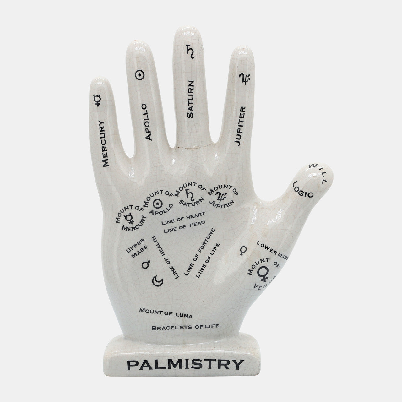 12" Palmistry Hand Deco