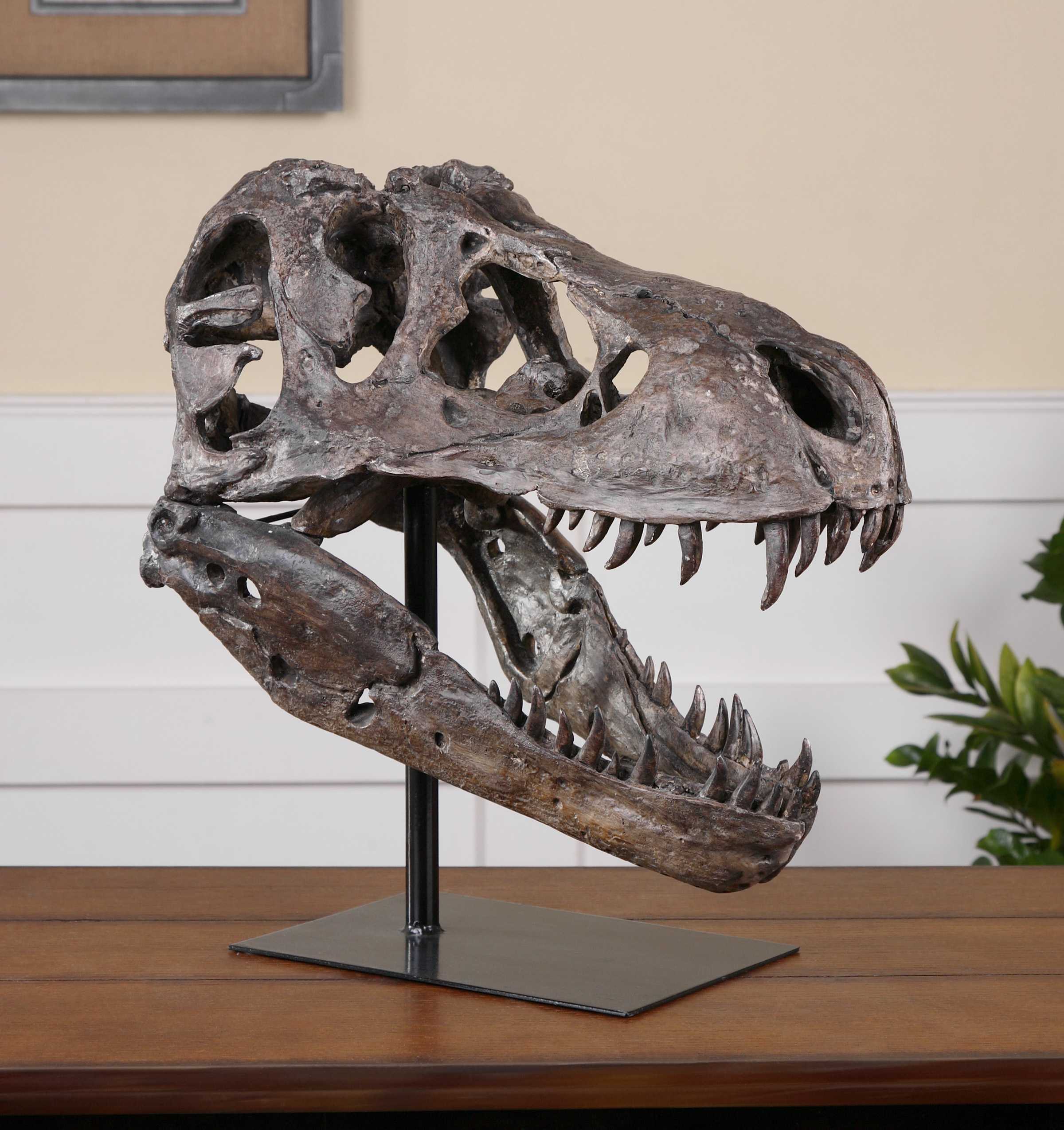 Tyrannosaurus Head