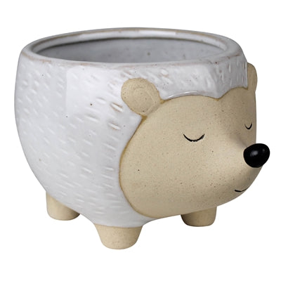 Hedgehog Cachepot