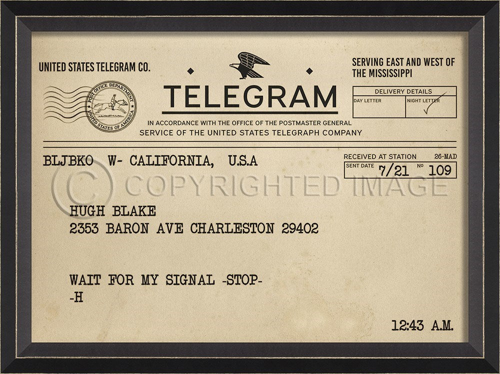 Telegram 02 Customizable