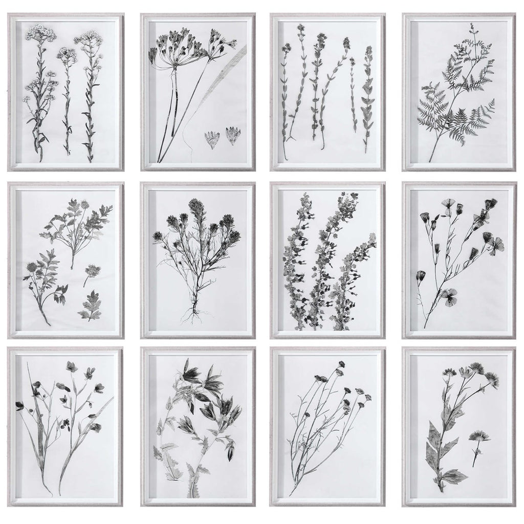 Assorted Black & White Botanical Print assorted-black-white-botanical-print