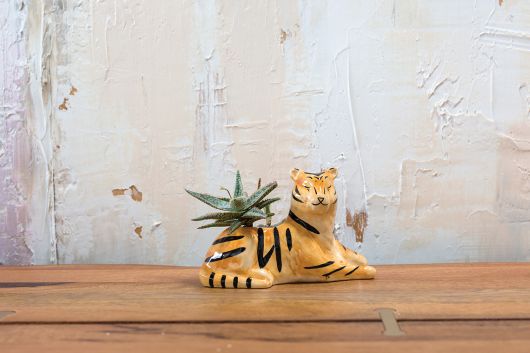 Untamed Animal Planter