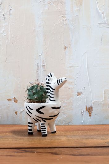 Untamed Animal Planter