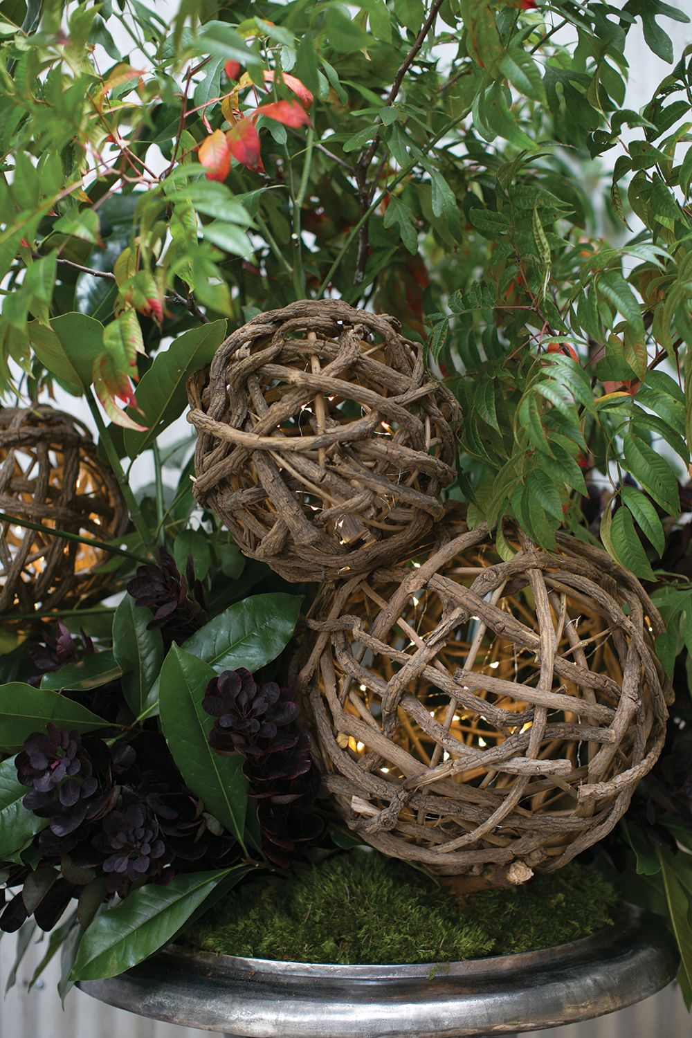 Akebia Vine Ball