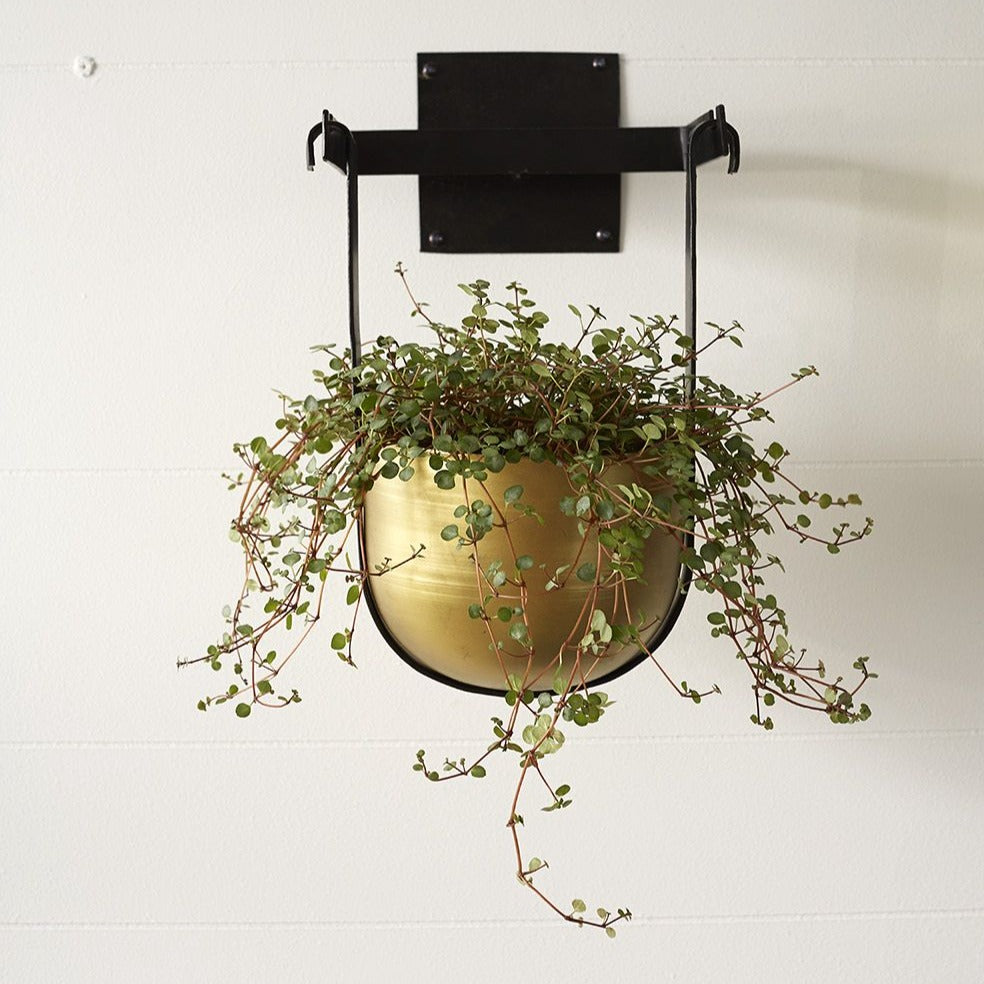 Benton Hanging Pot