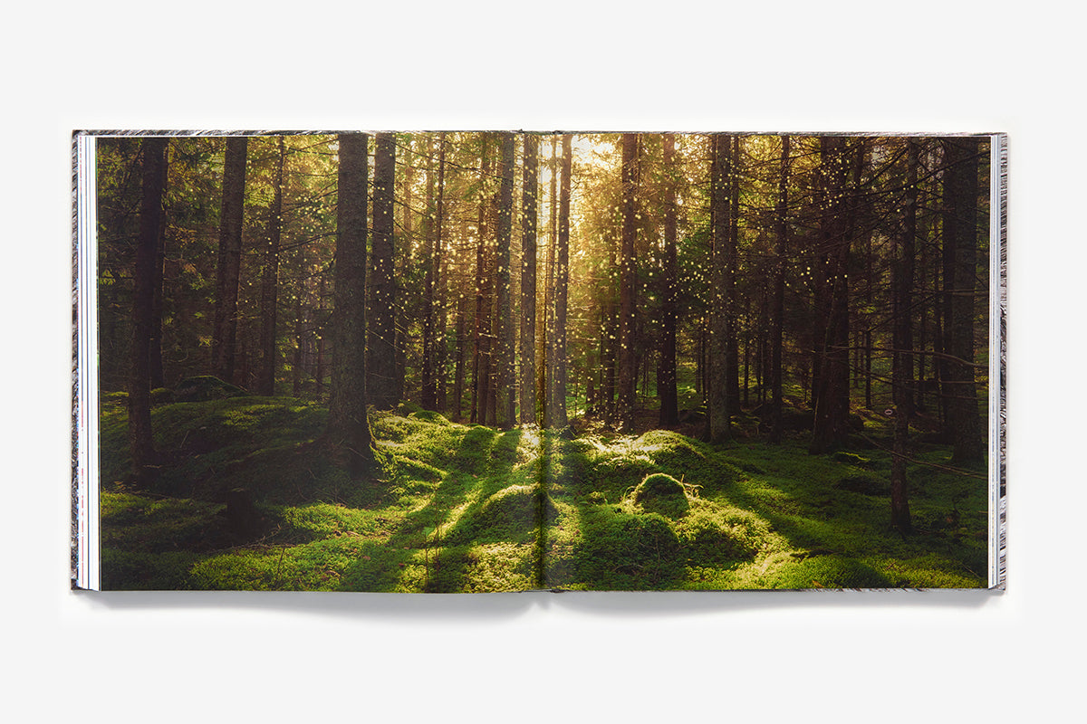 The Life & Love of the Forest by Lewis Blackwell