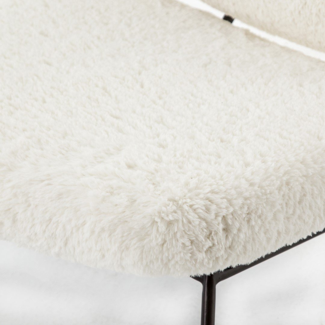 Ivory Angora