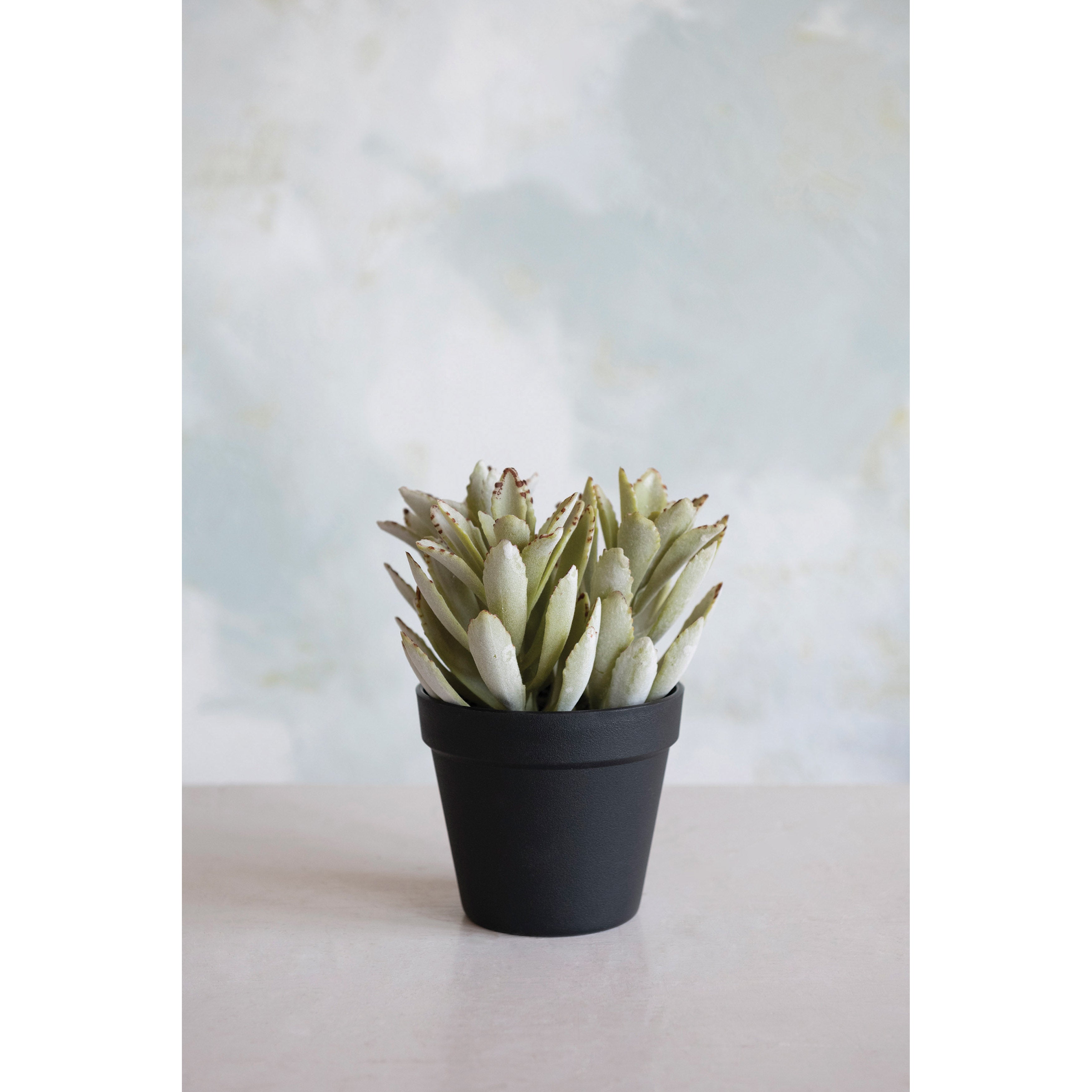 Faux Potted Klanchoe Tomentosa