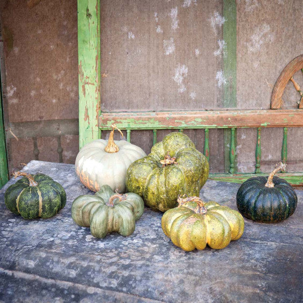 Green Heirloom Pumpkin