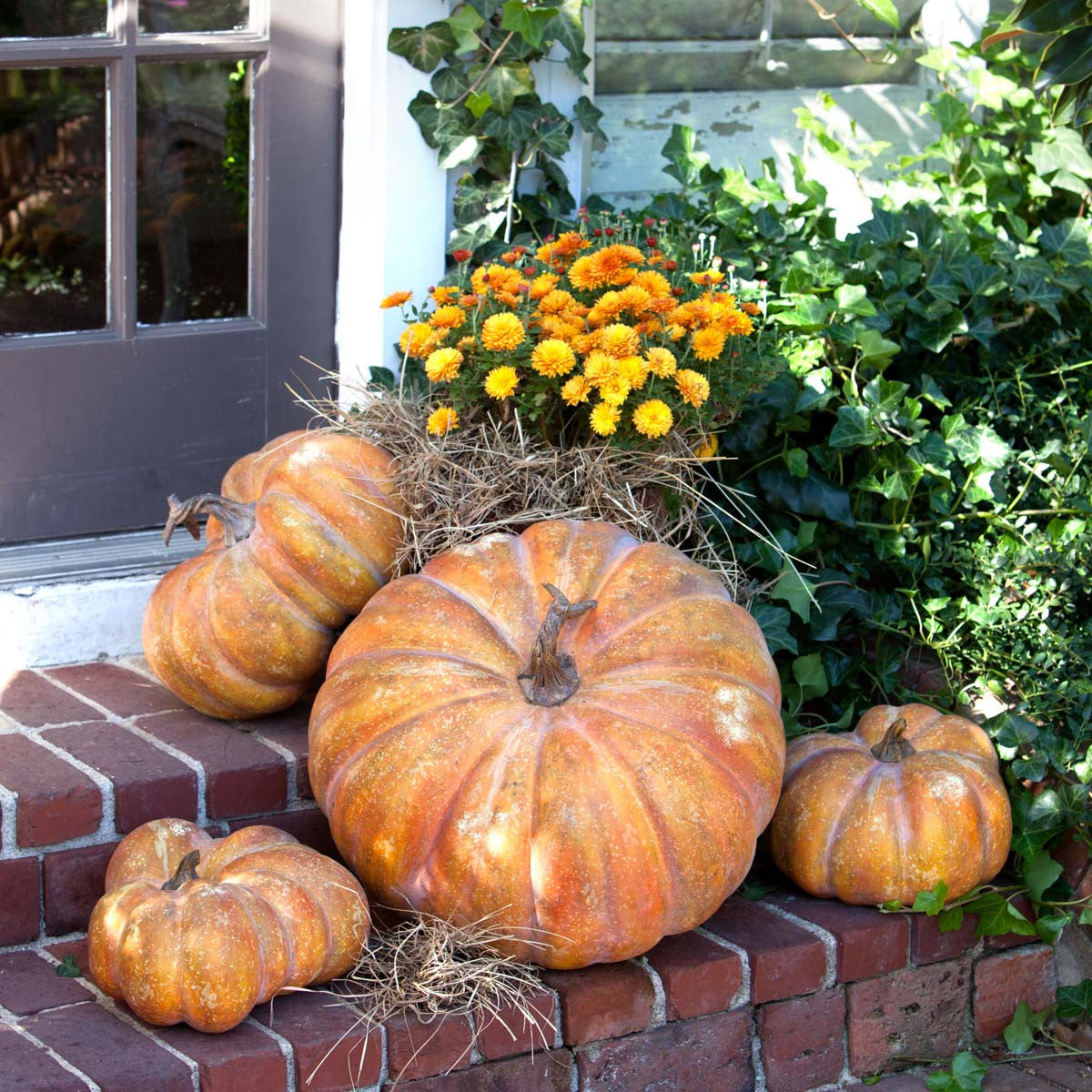 Pretty Mama Pumpkin