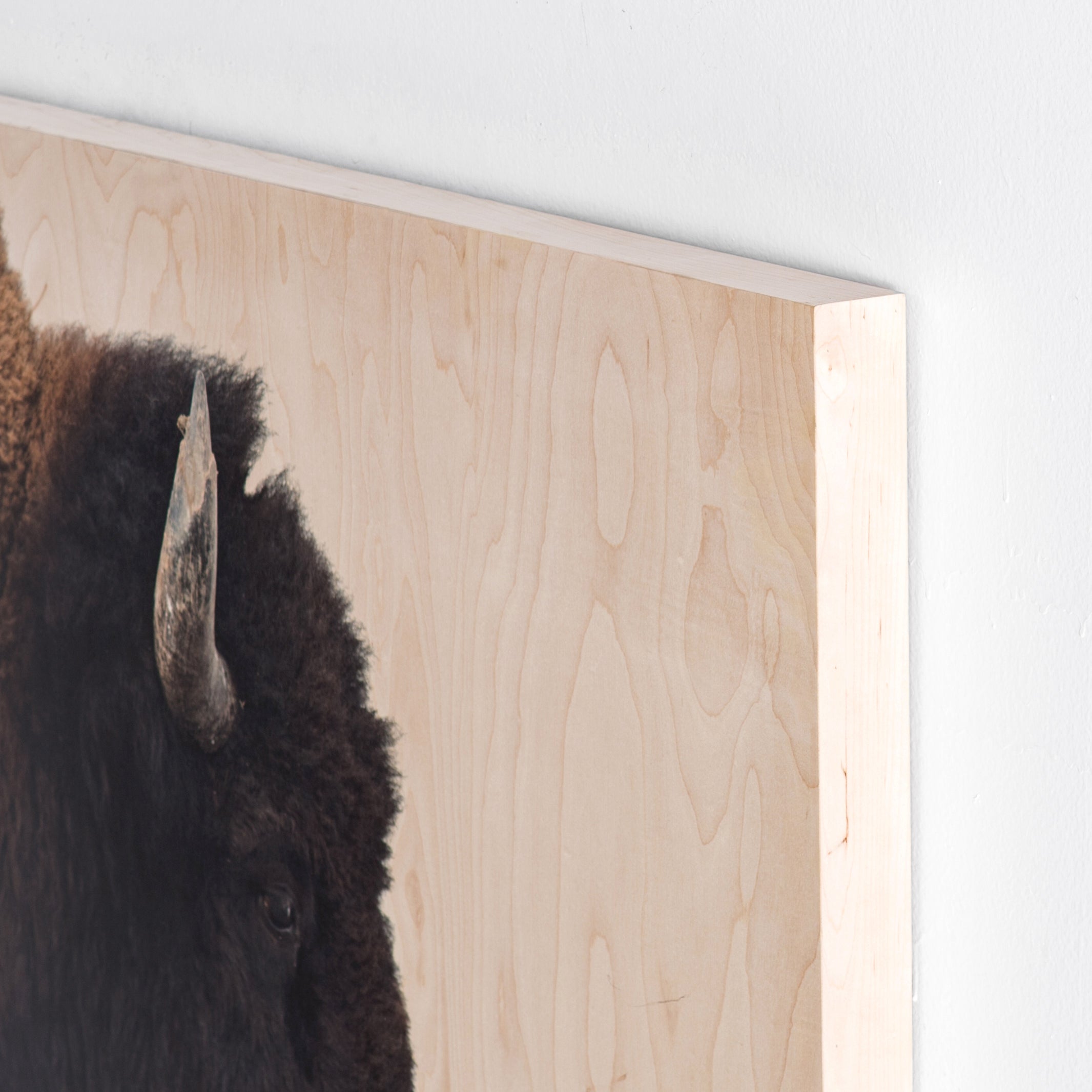 AMERICAN BISON WALL ART