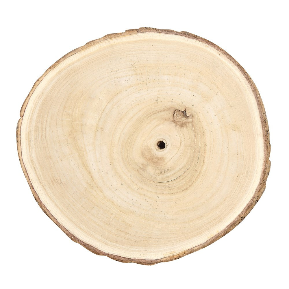 Large Paulownia Wood Slice