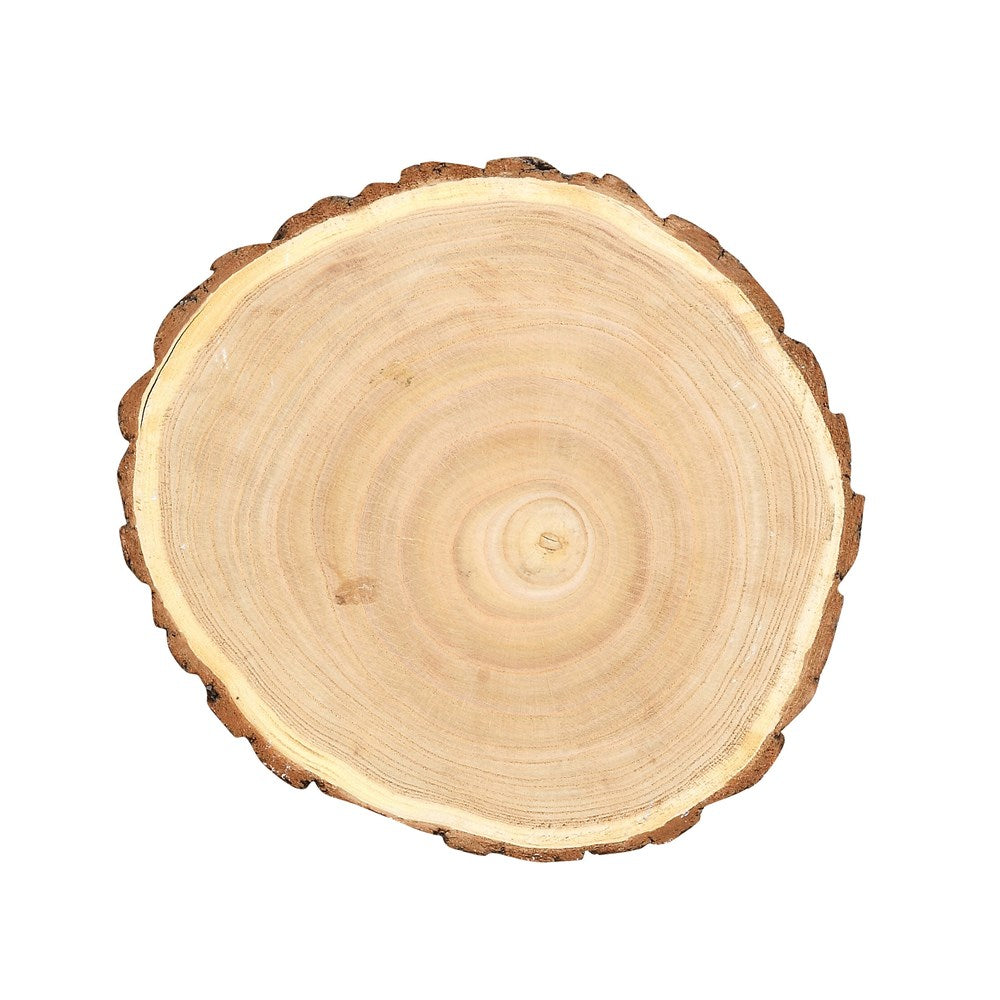 Medium Paulownia Wood Slice