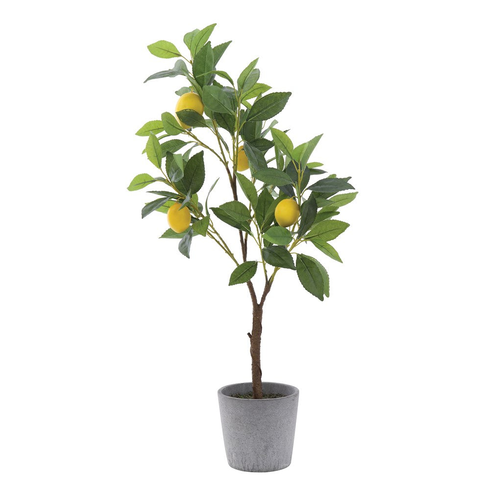 Faux Lemon Tree in Cement Pot*