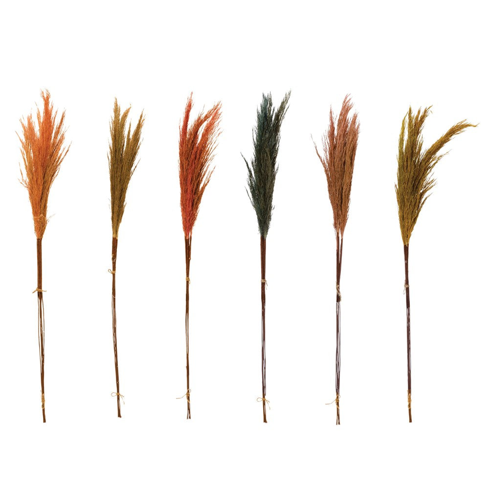 Assorted Natural Pampas Bunch